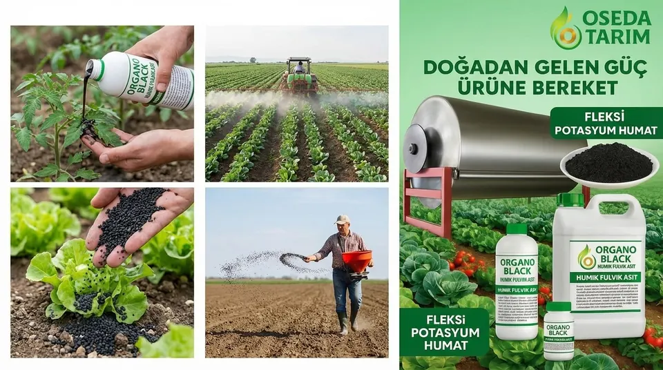 Organo Black Likit Potasyum Humat (Humik + Fulvik) – sıvı humik asit