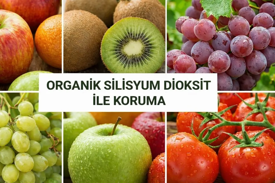 Sun Polar X Diatomit İçerikli Organik Silisyum Dioksit – diatom toprağı